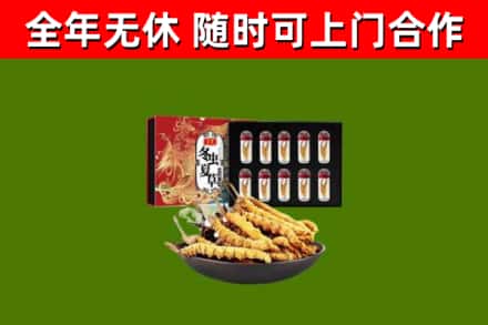 芜湖烟酒回收冬虫夏草礼盒.jpg